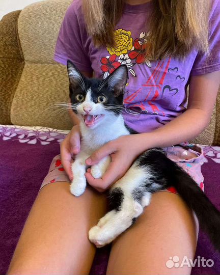 Мальчик 3.5 месяца