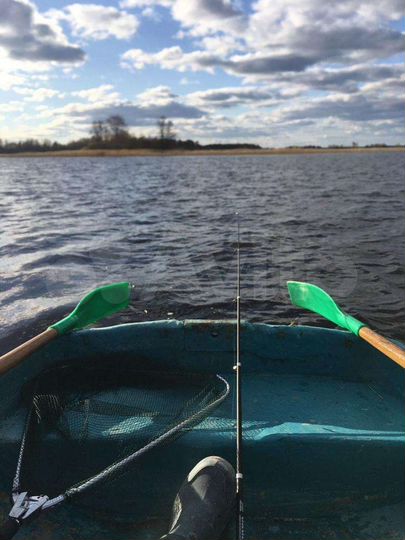 Участок 20 сот. (СНТ, ДНП)