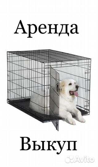 Клетка для собак и кошек аренда выкуп