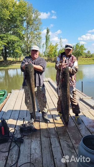 Рыбалка в астрахани