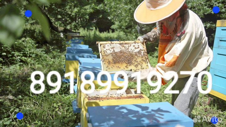 Улей для пчел