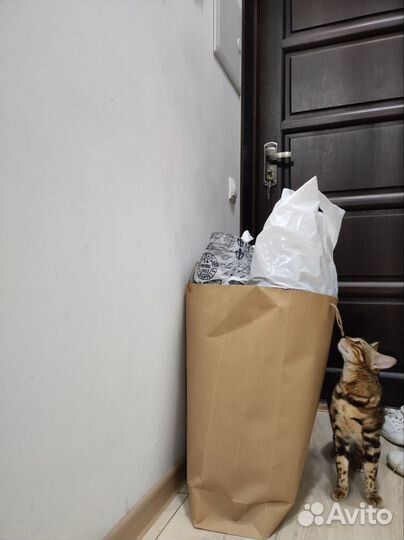 Отдам в дар вещи на девочку xs-s