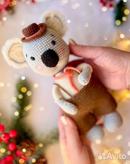 Мистер Коала