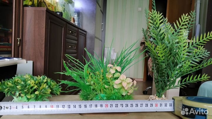 Гуппи 2см (микс), кобра, малахит