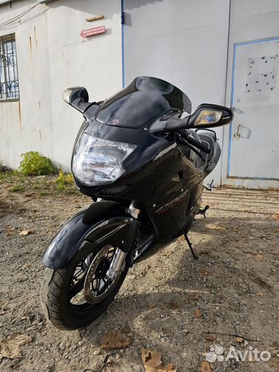 Honda CBR 1100 XX Blackbird 1996