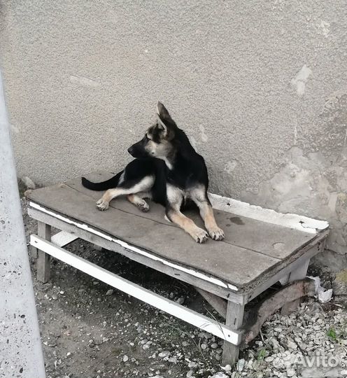 Мальчишка подросток ищет дом