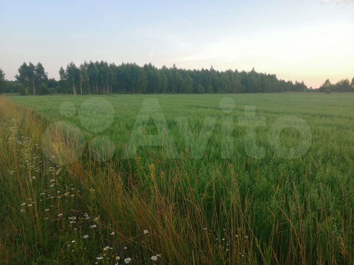Участок 4,5 га (СНТ, ДНП)