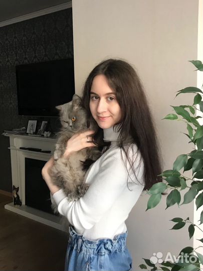 Репетитор по математике огэ