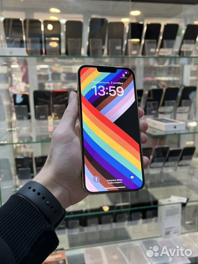 iPhone 13 Pro Max, 256 ГБ