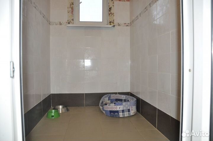 Загородный клубный отель для собак. 45 км от МКАД