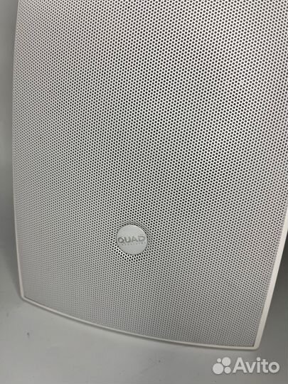 Quad Q5T настенная колонка для кафе, магазина