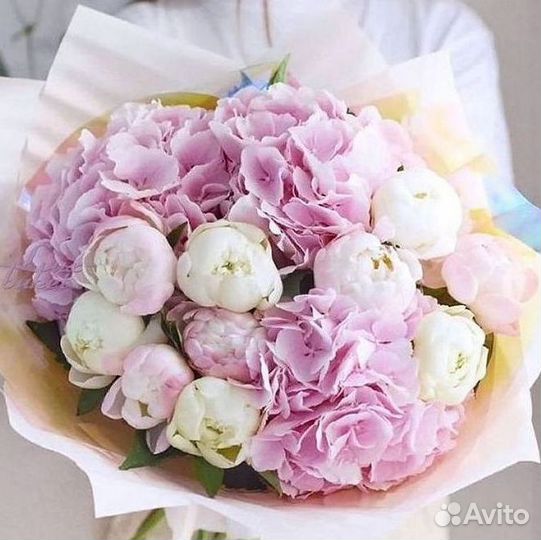 Пионы Розы Доставка