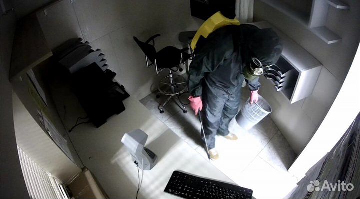 Уничтожение тараканов, клопов, блох, коморов, грыз