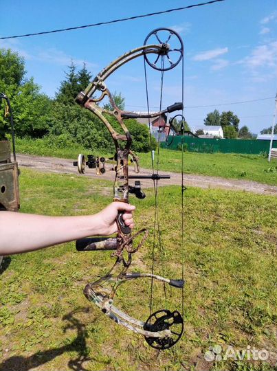 Блочный лук bear и pse