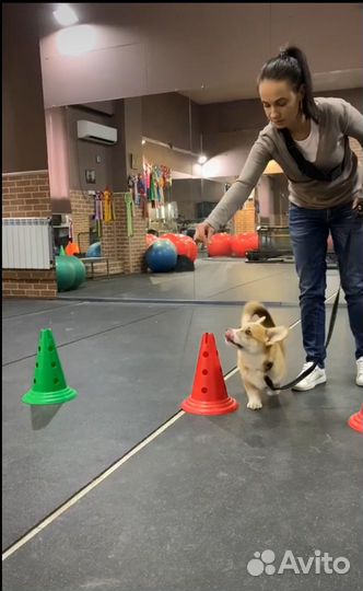 Кинолог зоопсихолог