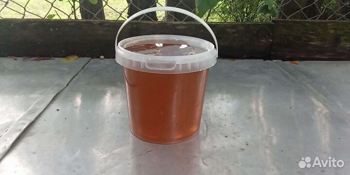 Мед разнотравье 2023 г