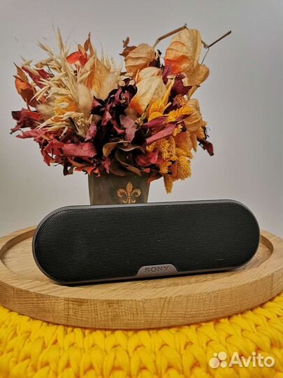 Беспроводная колонка Sony SRS XB2