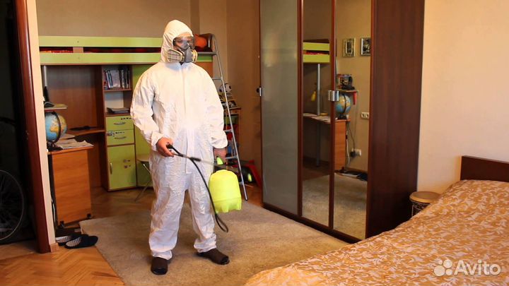 Уничтожение тараканов обработка от клопов и блох