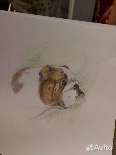 Портрет по фото на заказ