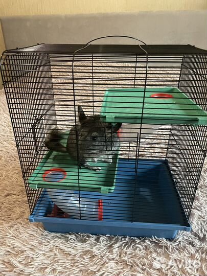 Клетки новые.Разные размеры