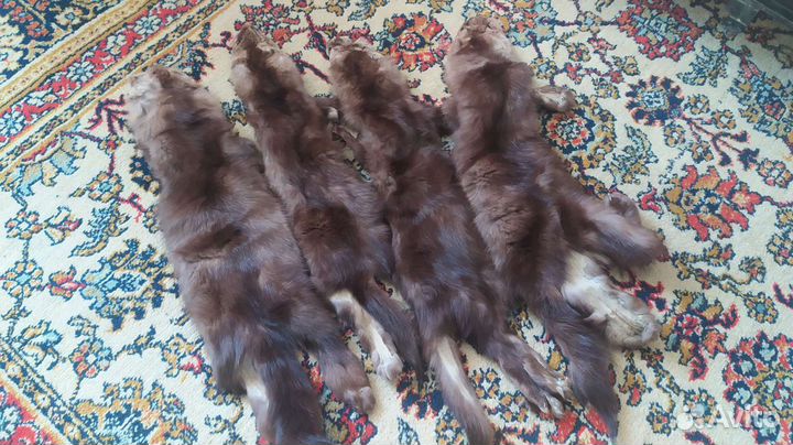 Шкурка животного