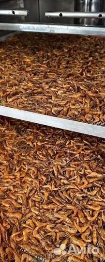 Креветка азовская опт и розница