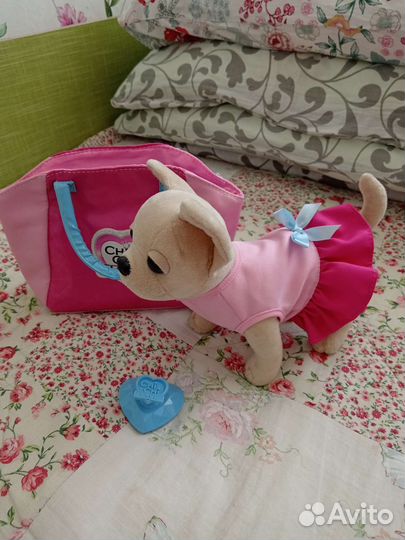 Собака Chi Chi love