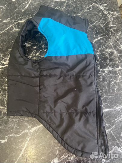 Одежда для средних собак