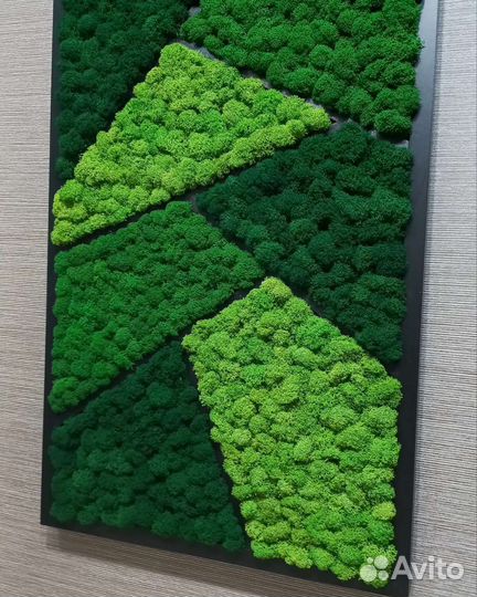 Стабилизированный мох панно