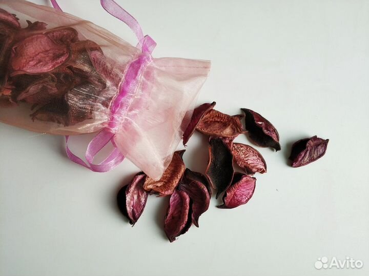 Декоративные сухоцветы