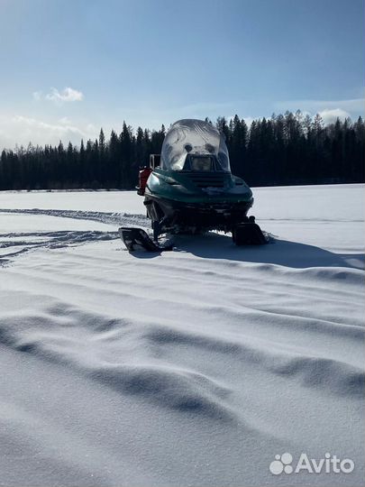 Снегоход рысь