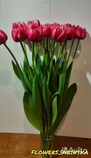 Тюльпаны к 8 марта