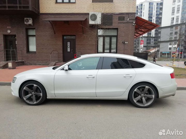 Гид на личном авто по спб и обл, English speaker