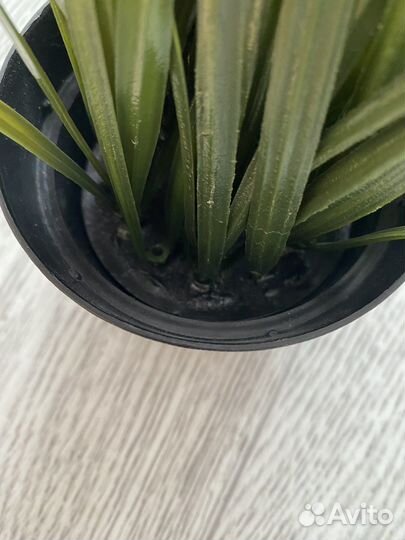 Искусственное растение трава икеа фейка