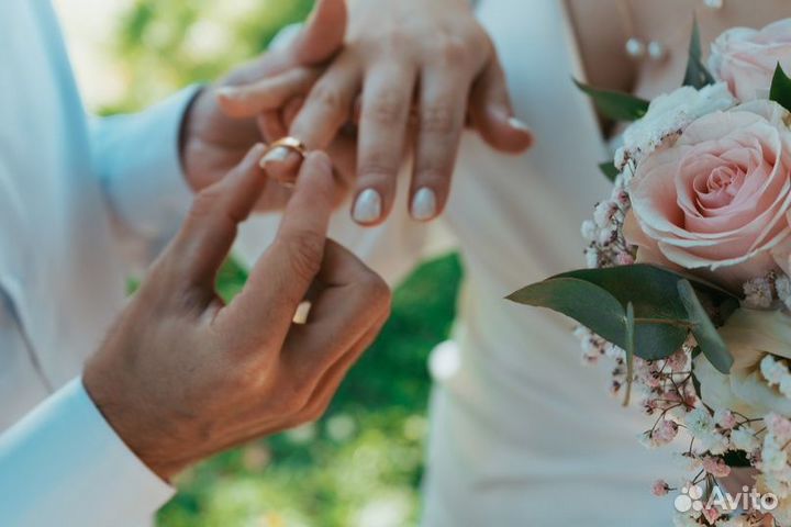 Фотограф, Видеограф