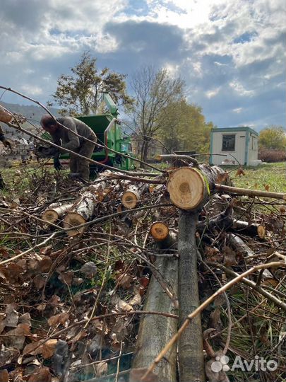 Аренда измельчителя древесины, аренда дробилки