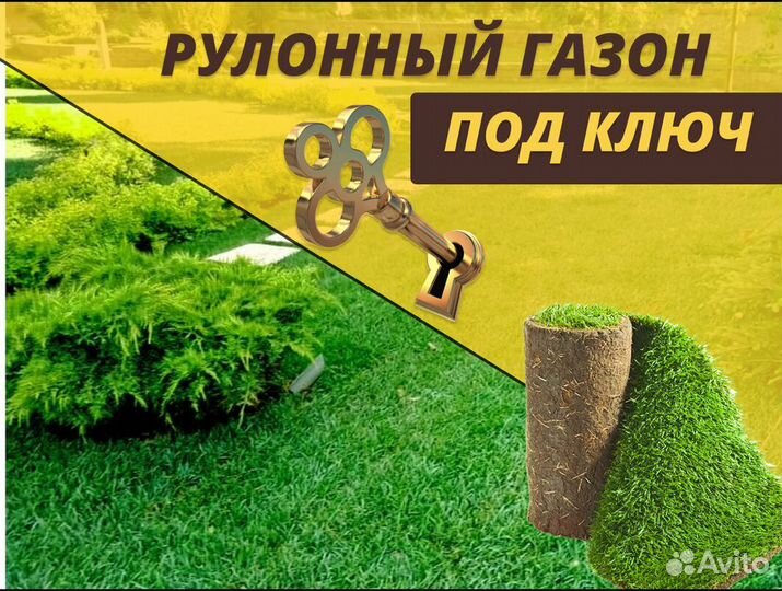 Рулонный газон укладка