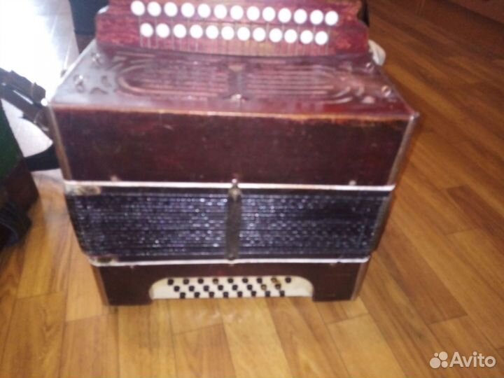 Гармошки соль