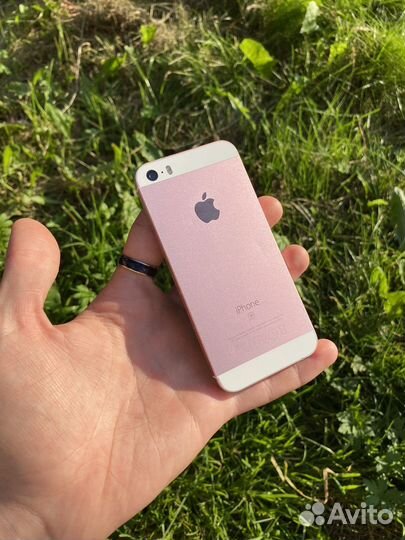 iPhone SE