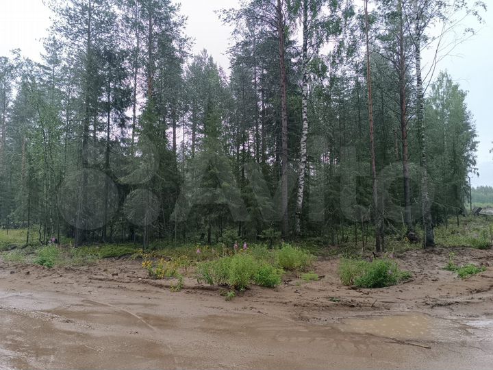 Участок 20 сот. (ИЖС)