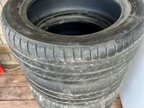 GT Radial Champiro FE1 195/55 R16