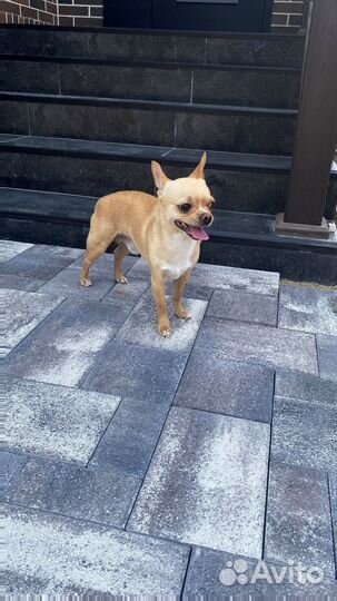 Тротуарная плитка Ландхаус от 120 м2