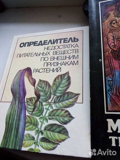 Книги очень разные