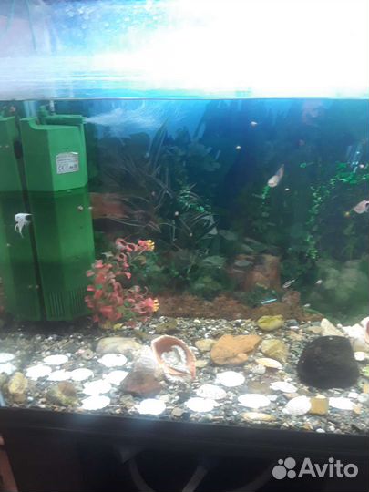 Аквариум