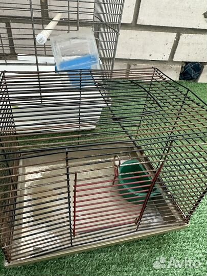 Клетки для грызунов