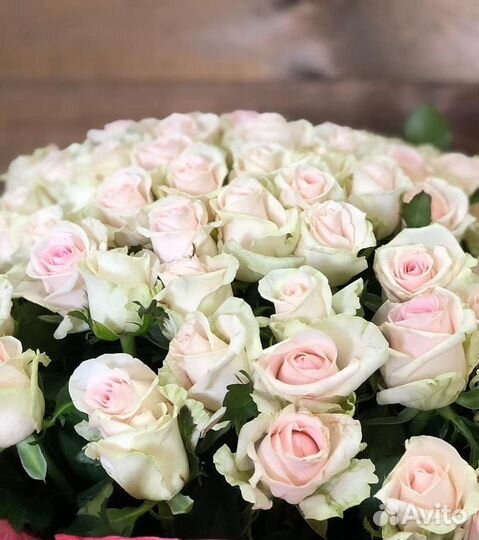 Розы-101шт-50см-за 5000.Доставка по крд 24 часа
