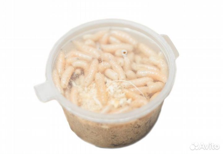 Живая наживка (червь,опарыш,мотыль,мормыш)