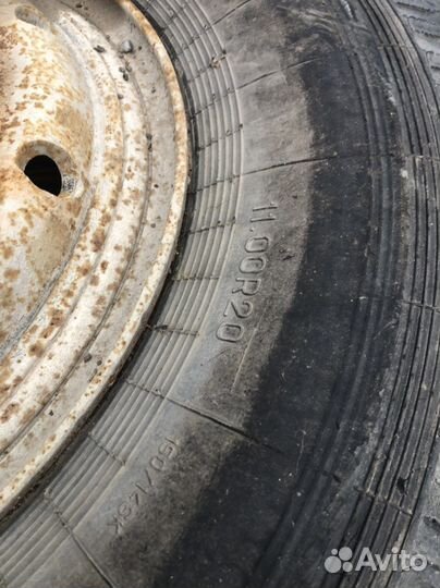 Bridgestone B250 11.00 R20