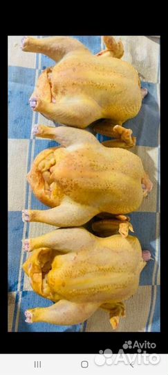 Мясо бройлера ути гуси