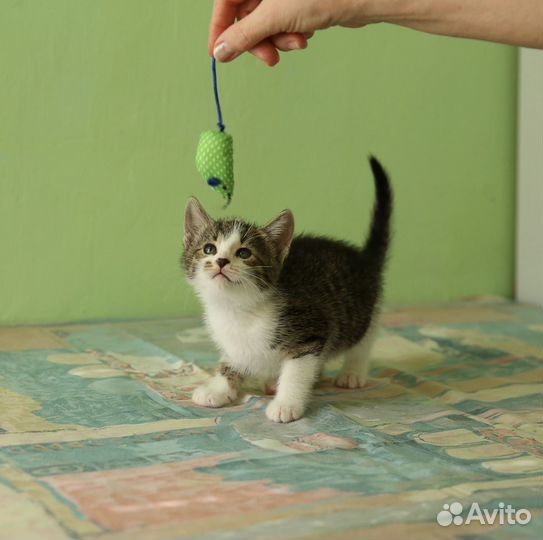 Малыш в добрые ручки